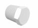 Plug 1/2 NPT White Polypropylene